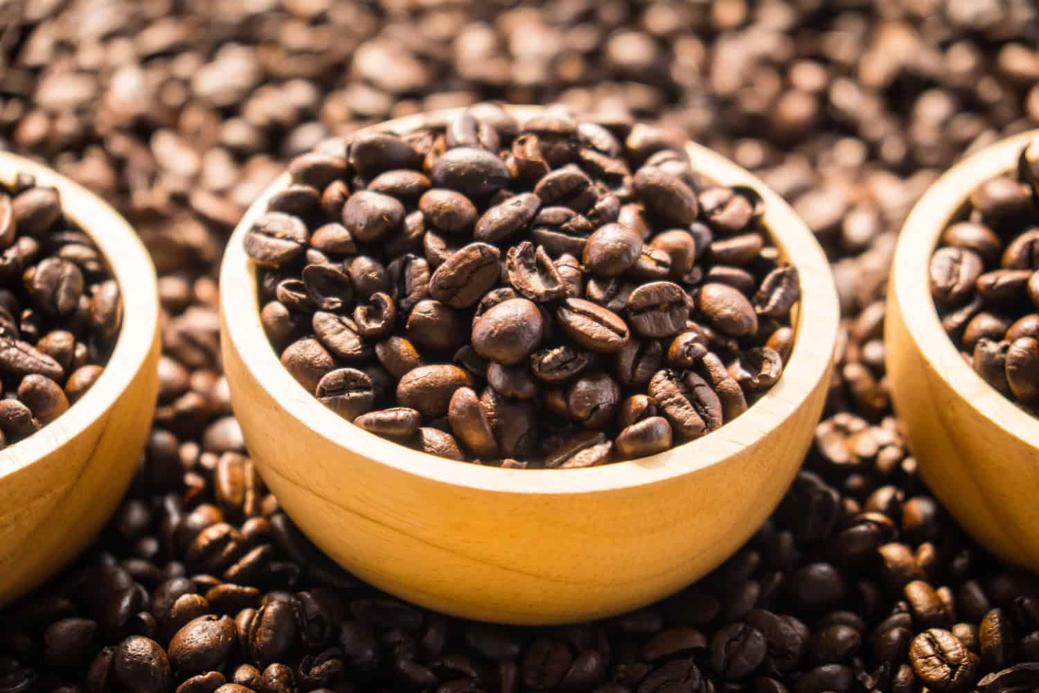 Dalle radici antiche alle future miscele: svelato il genoma millenario del caffè
