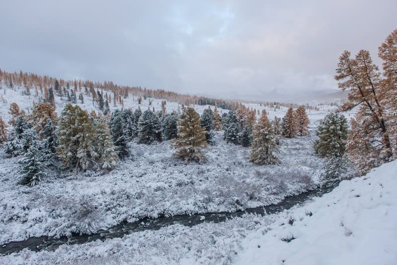 Allerta neve grado 2 nell’alto Ticino