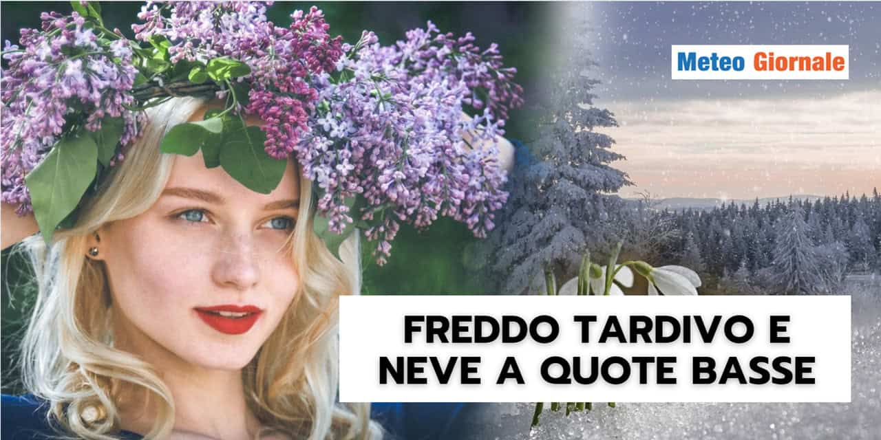freddotardivobis 8pr