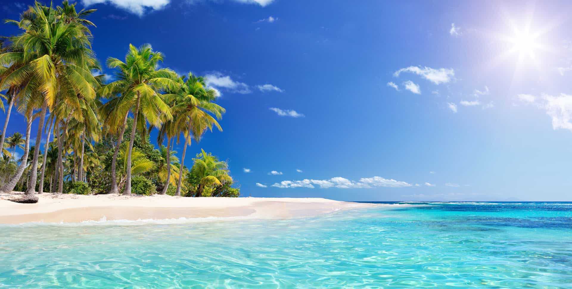Guadalupa: spiagge idilliache e lussureggianti foreste nel cuore dei Caraibi