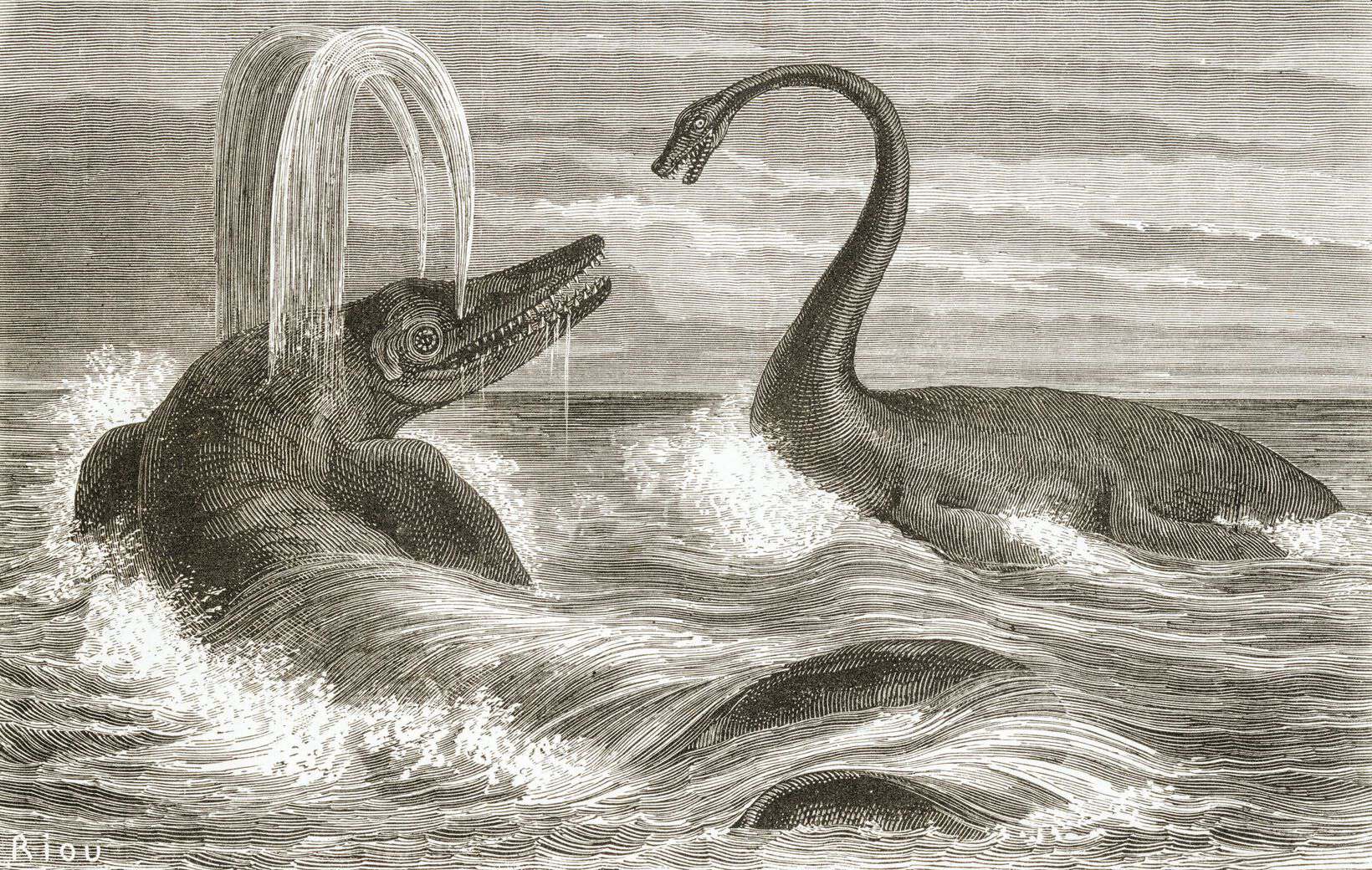 Scienziati risolvono il mistero delle ossa giganti che hanno confuso i paleontologi per 150 anni