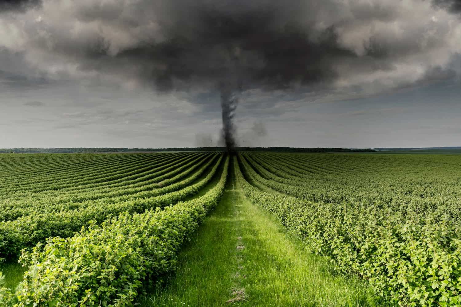 Tornado o landspout? Un evento insolito colpisce lo Utah