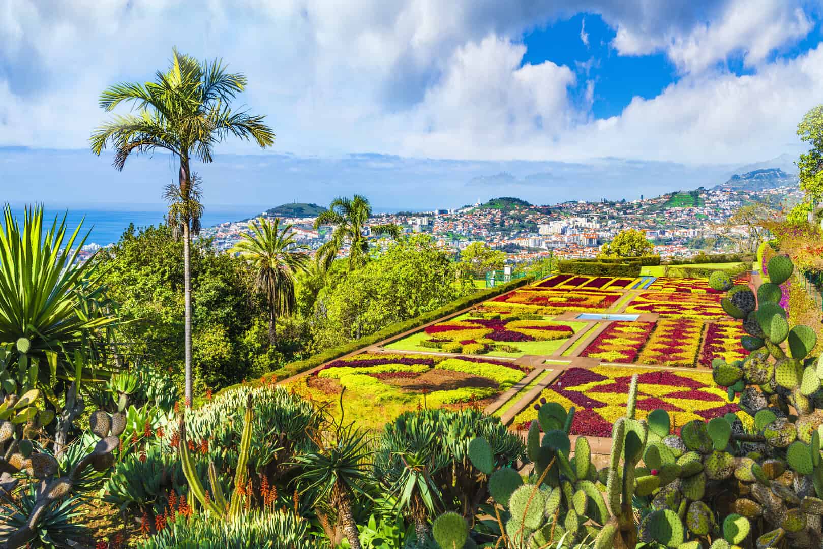 madeira giardino fiorito