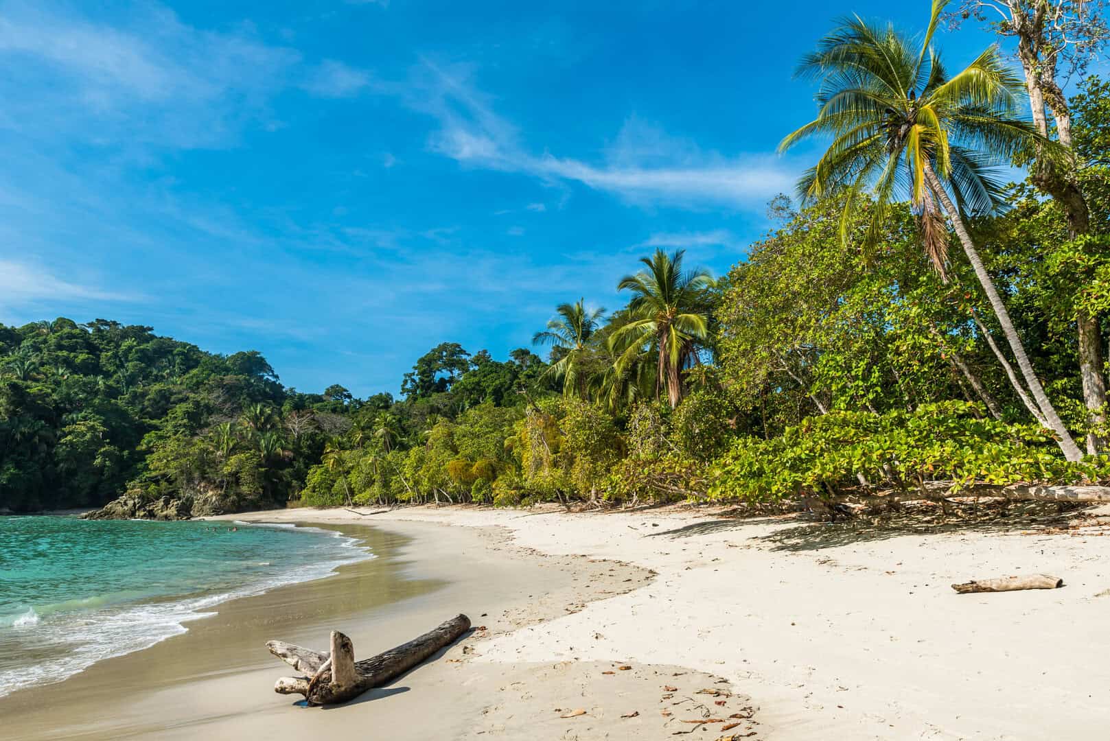 Manuel Antonio, Costa Rica: la natura come non l’avete mai vista
