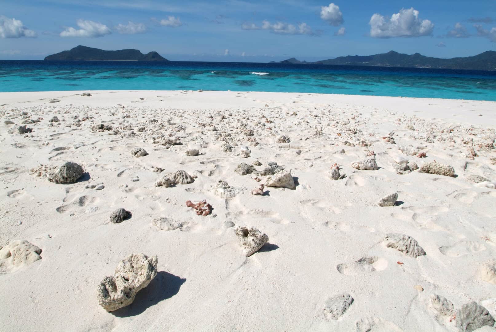 Mayotte, Comore: un santuario marino di rara bellezza
