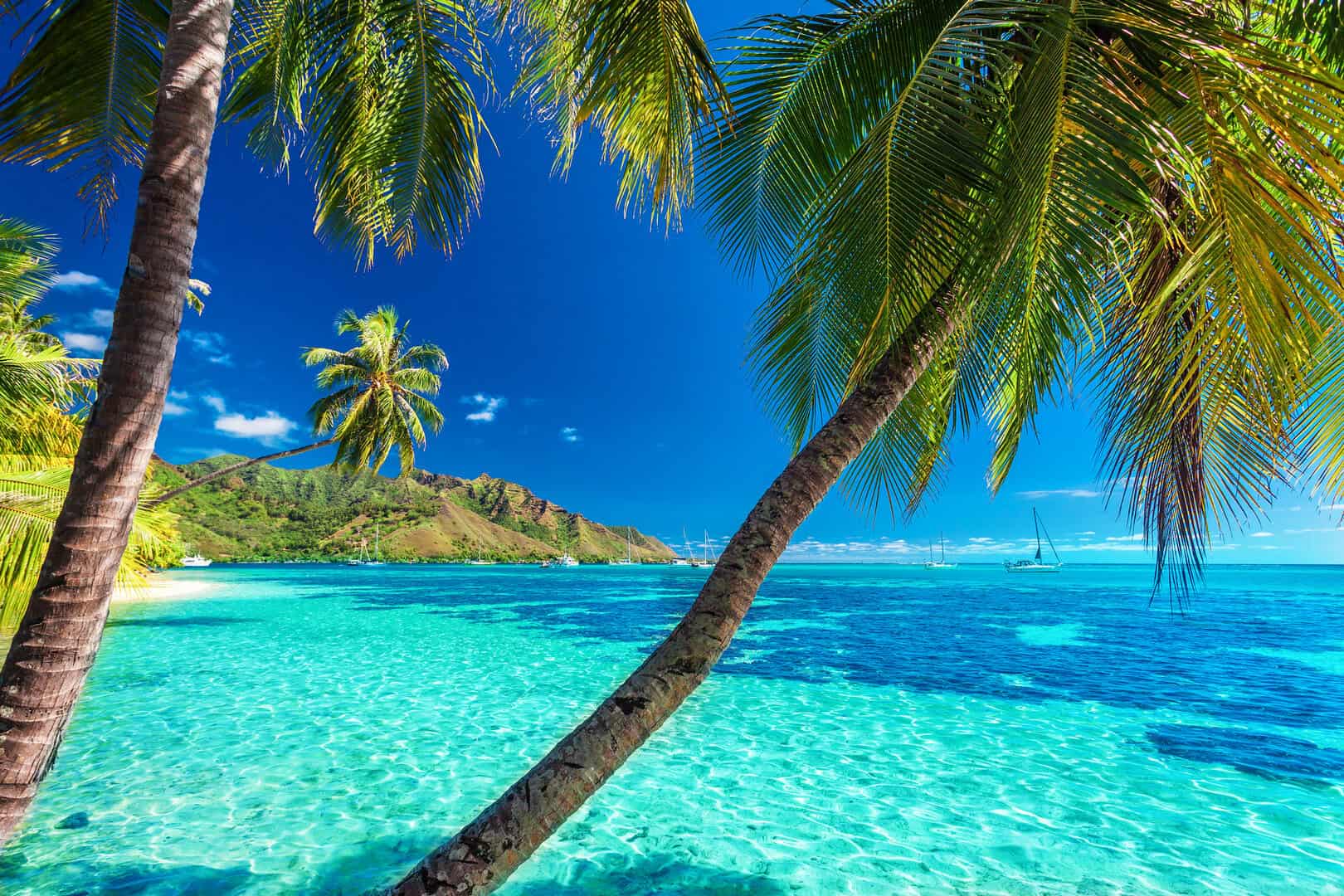 Moorea, gioiello della Polinesia Francese: tra montagne verdi e lagune blu