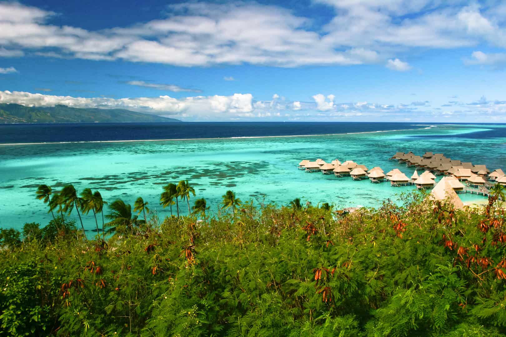 Moorea, gioiello della Polinesia Francese: un’esplorazione nel cuore verde dell’oceano