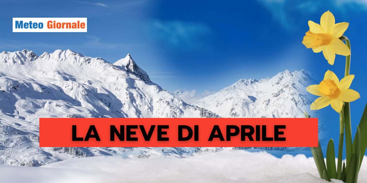 neve 8apr