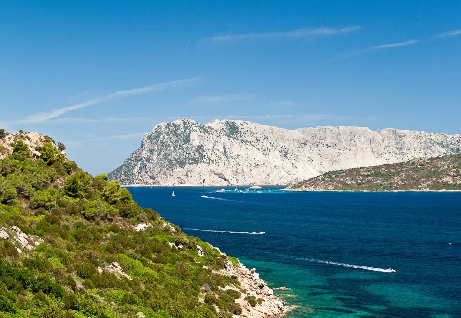 olbia tavolara