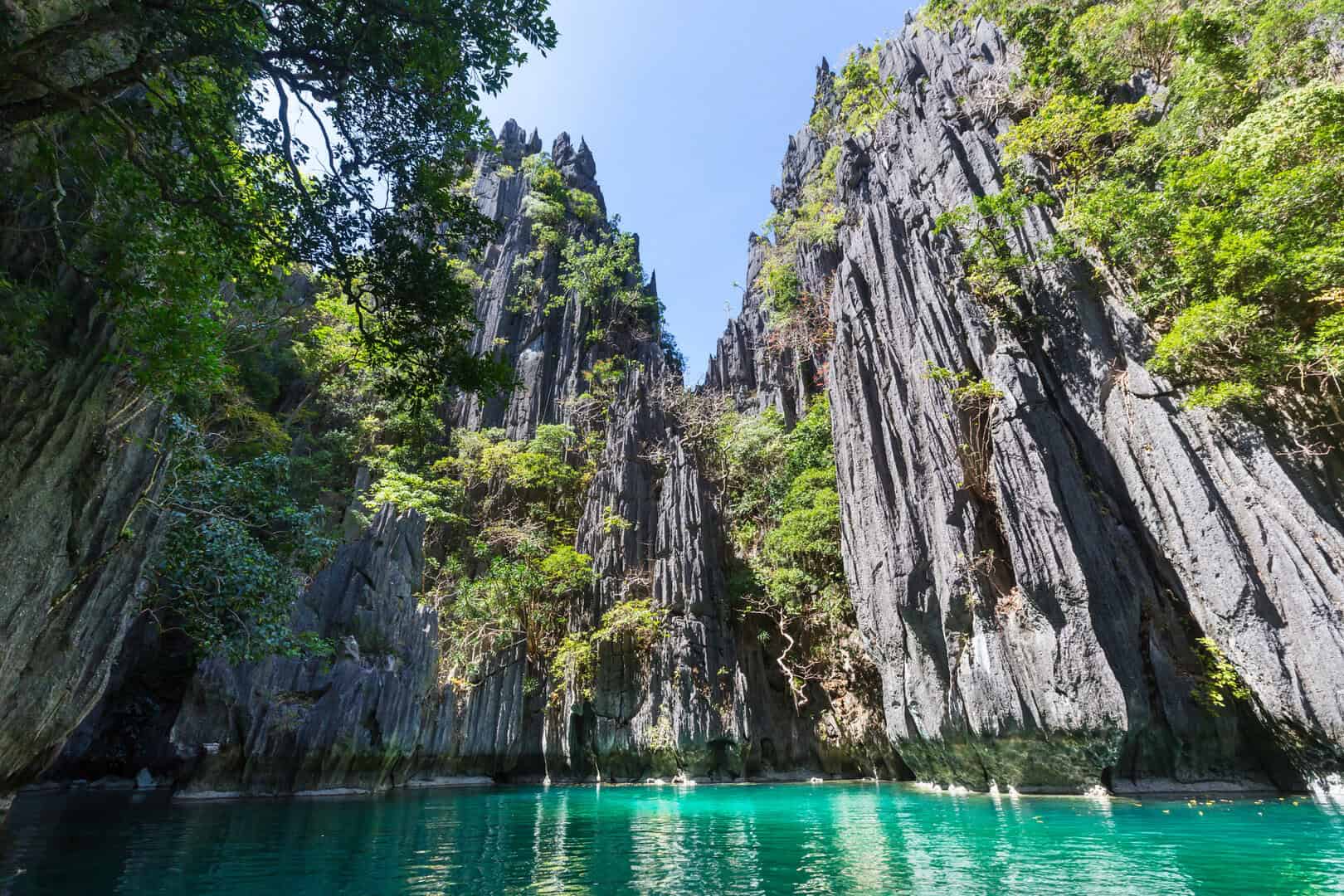 Palawan: l’ultima frontiera delle Filippine, un mosaico di biodiversità