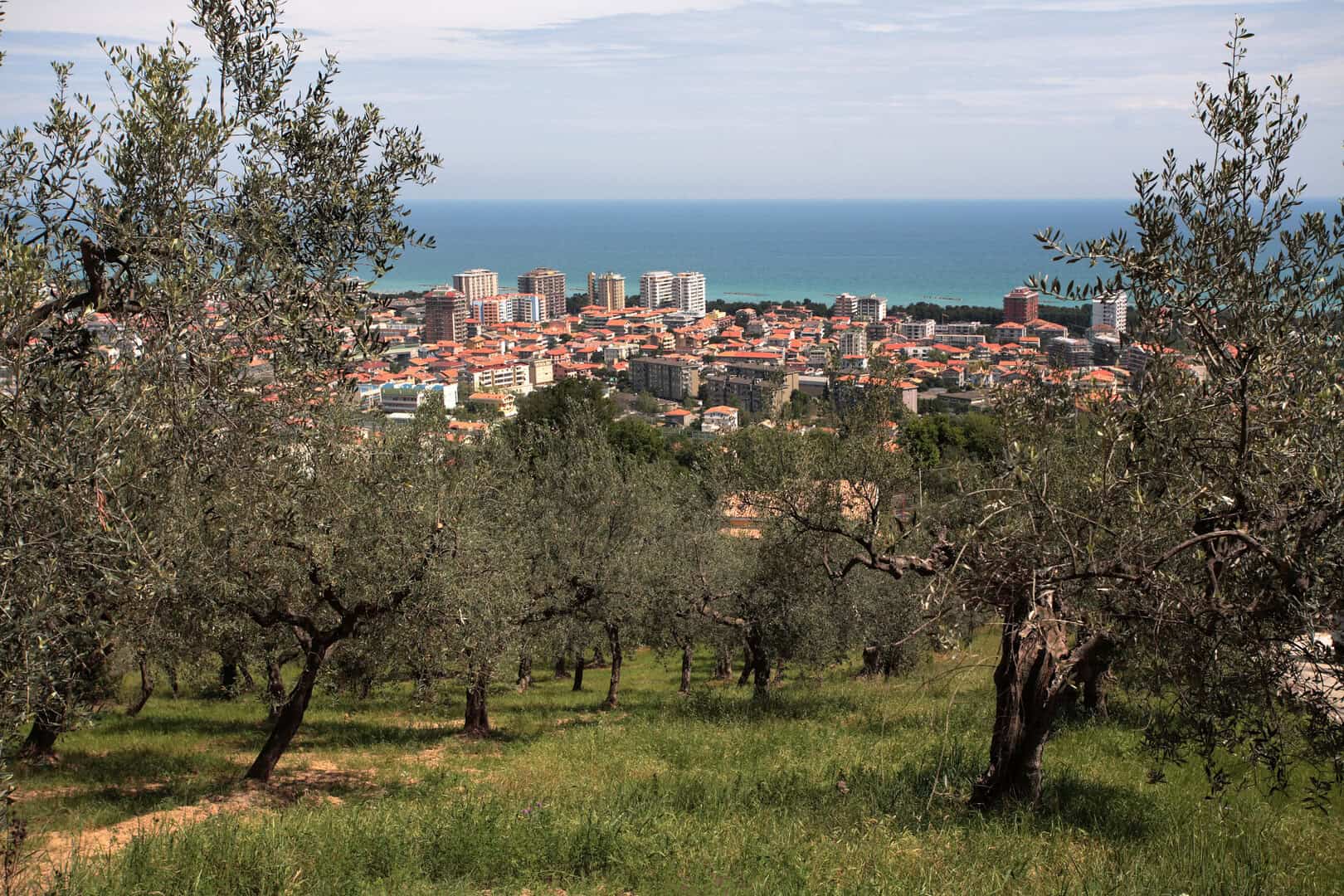 Pescara e dintorni: un fine settimana tra l’azzurro del mare e il verde dell’entroterra