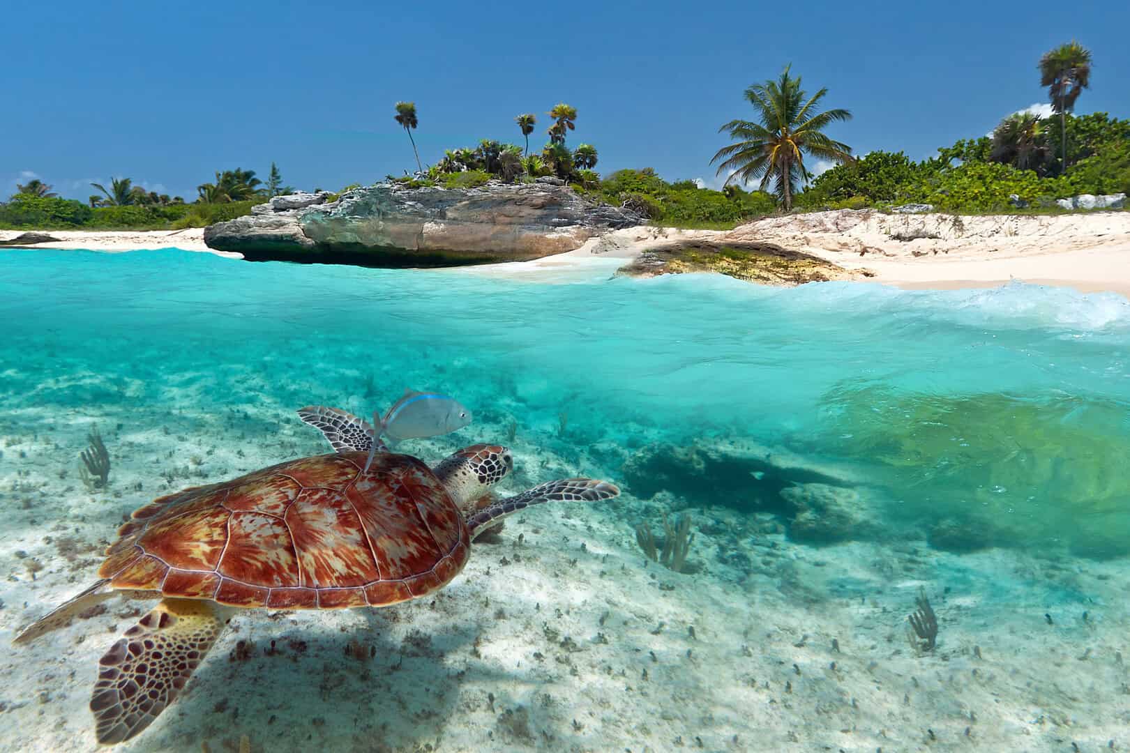 Scoprire Playa del Carmen: il gioiello caraibico del Messico