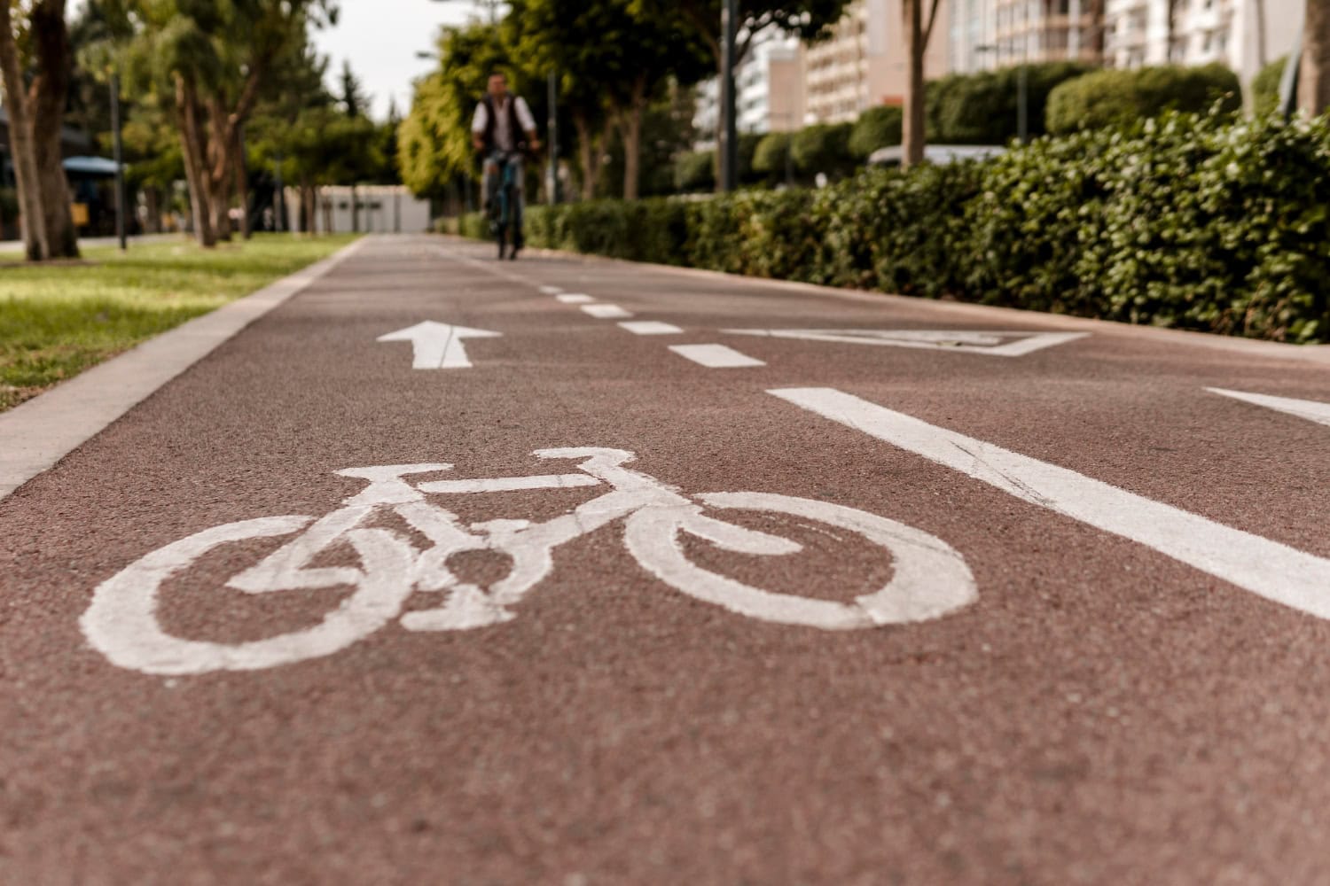 primo piano della pista ciclabile sulla strada