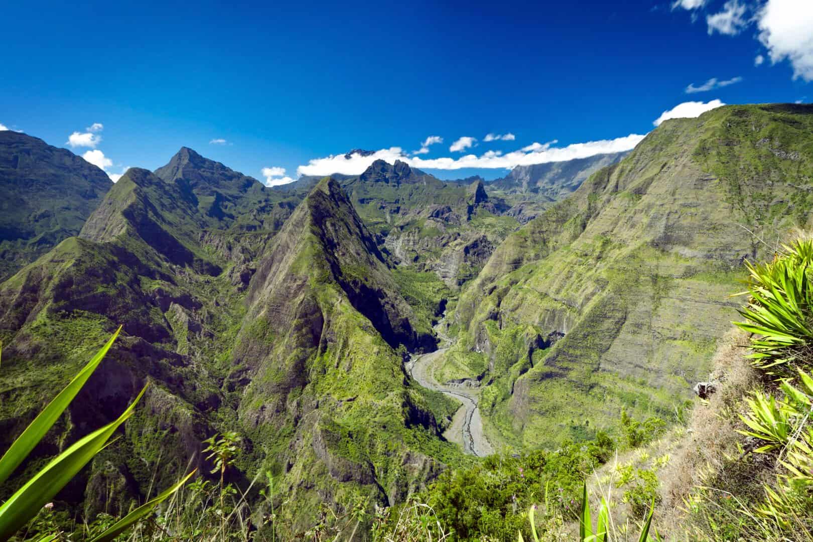 Isola di Réunion: foreste lussureggianti ai piedi di maestosi vulcani