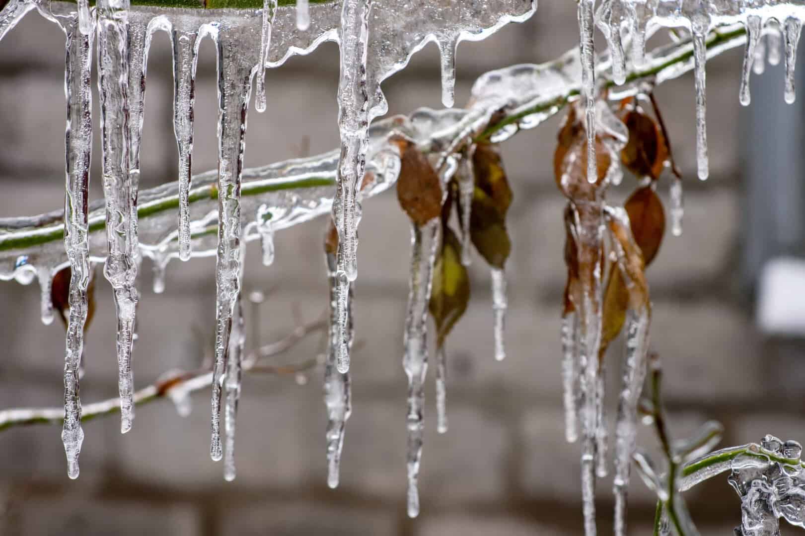 Meteo, Europa travolta da una furiosa ondata di freddo