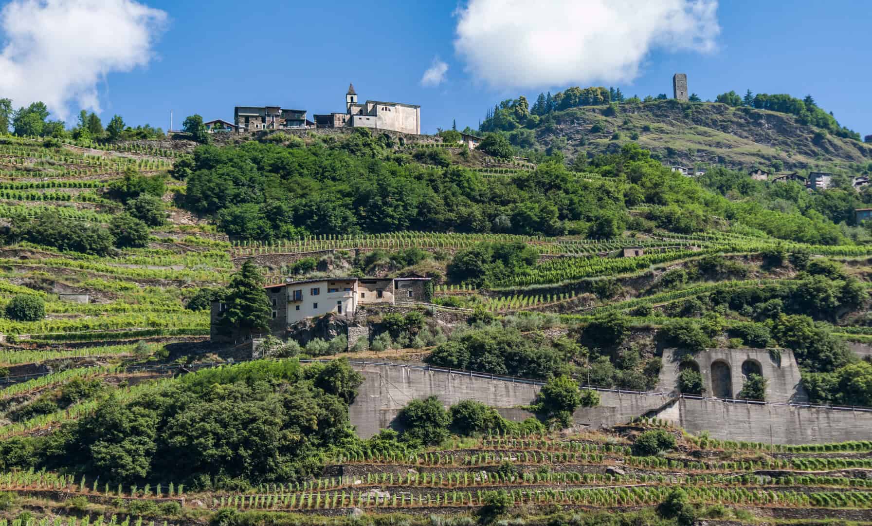 Sondrio e Valtellina: un Weekend tra gini preziosi e maestose montagne