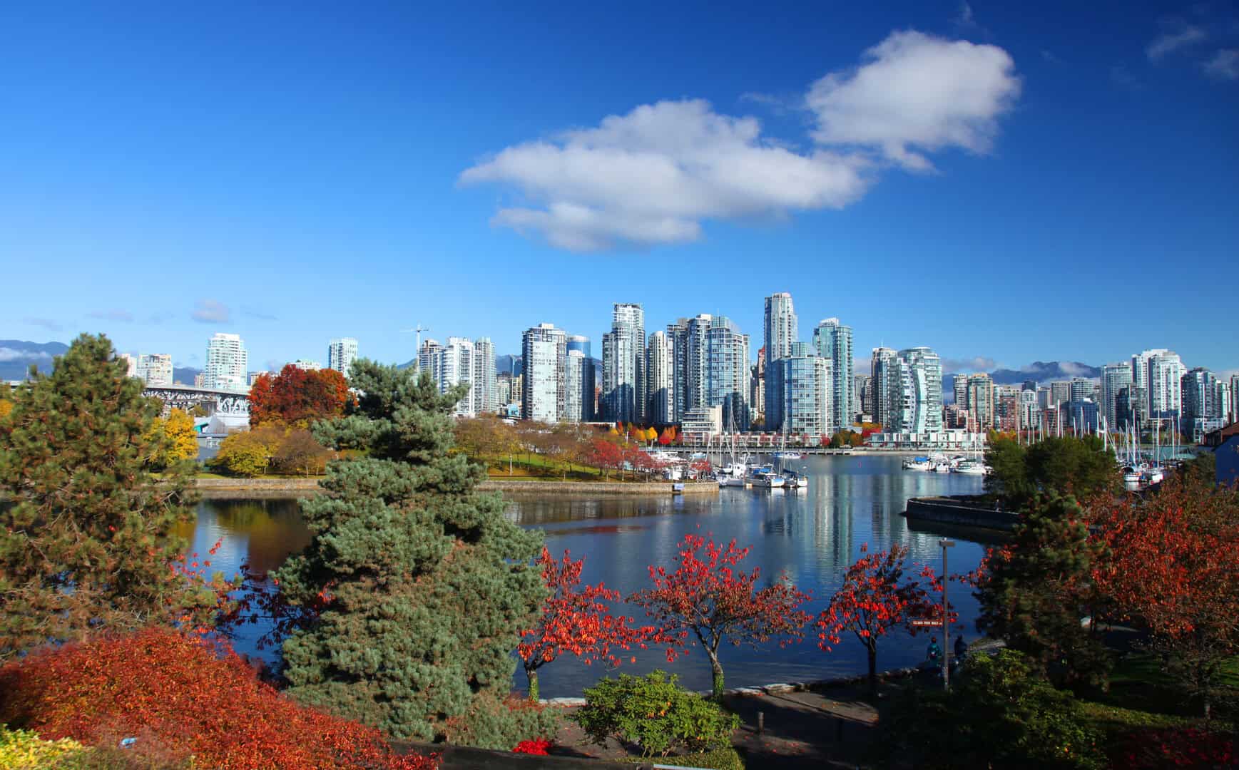 Vancouver, Canada: la città paradiso per gli amanti della natura