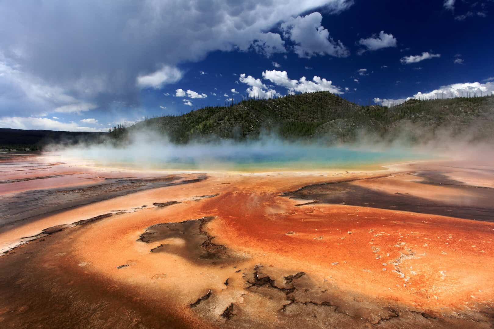 Clima: l’impatto del turismo sulle emissioni di carbonio, il caso studio di Yellowstone