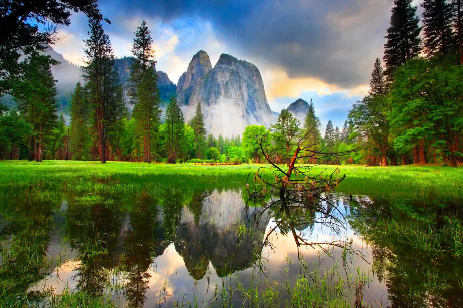 yosemite stagno