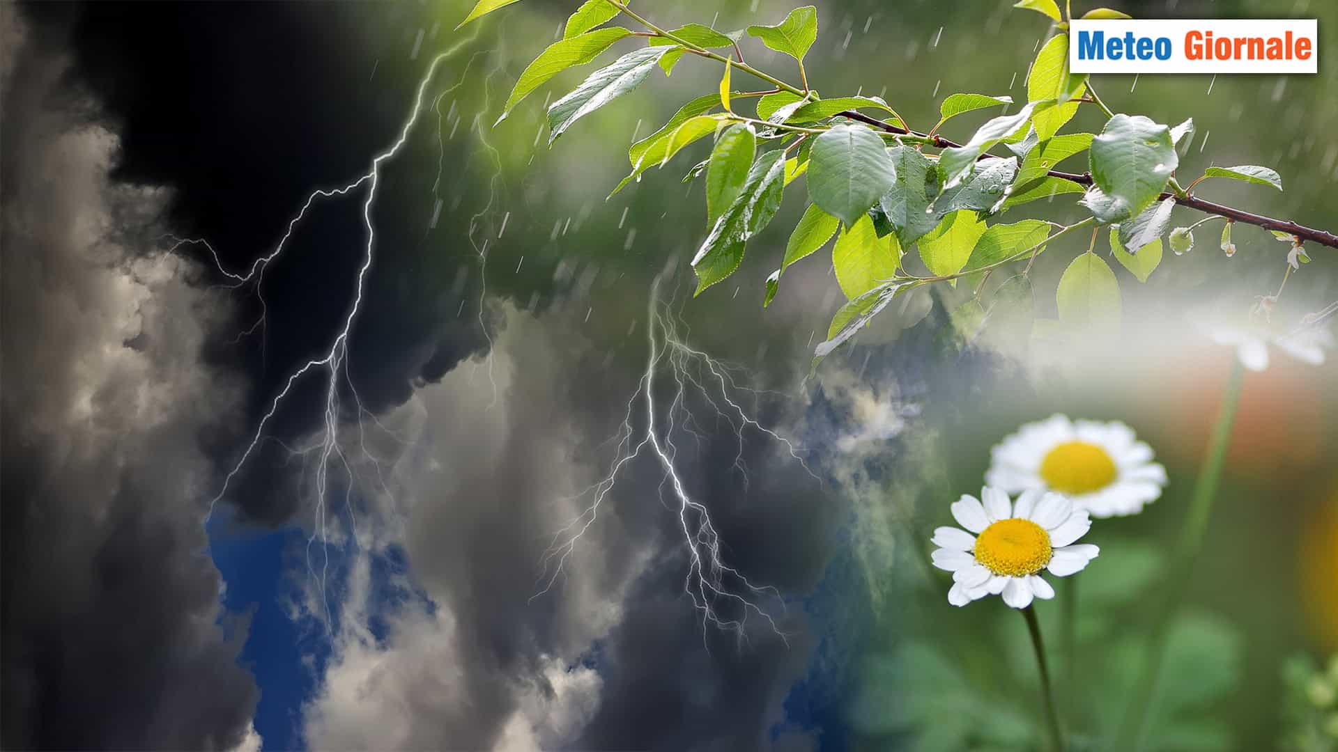030524 H