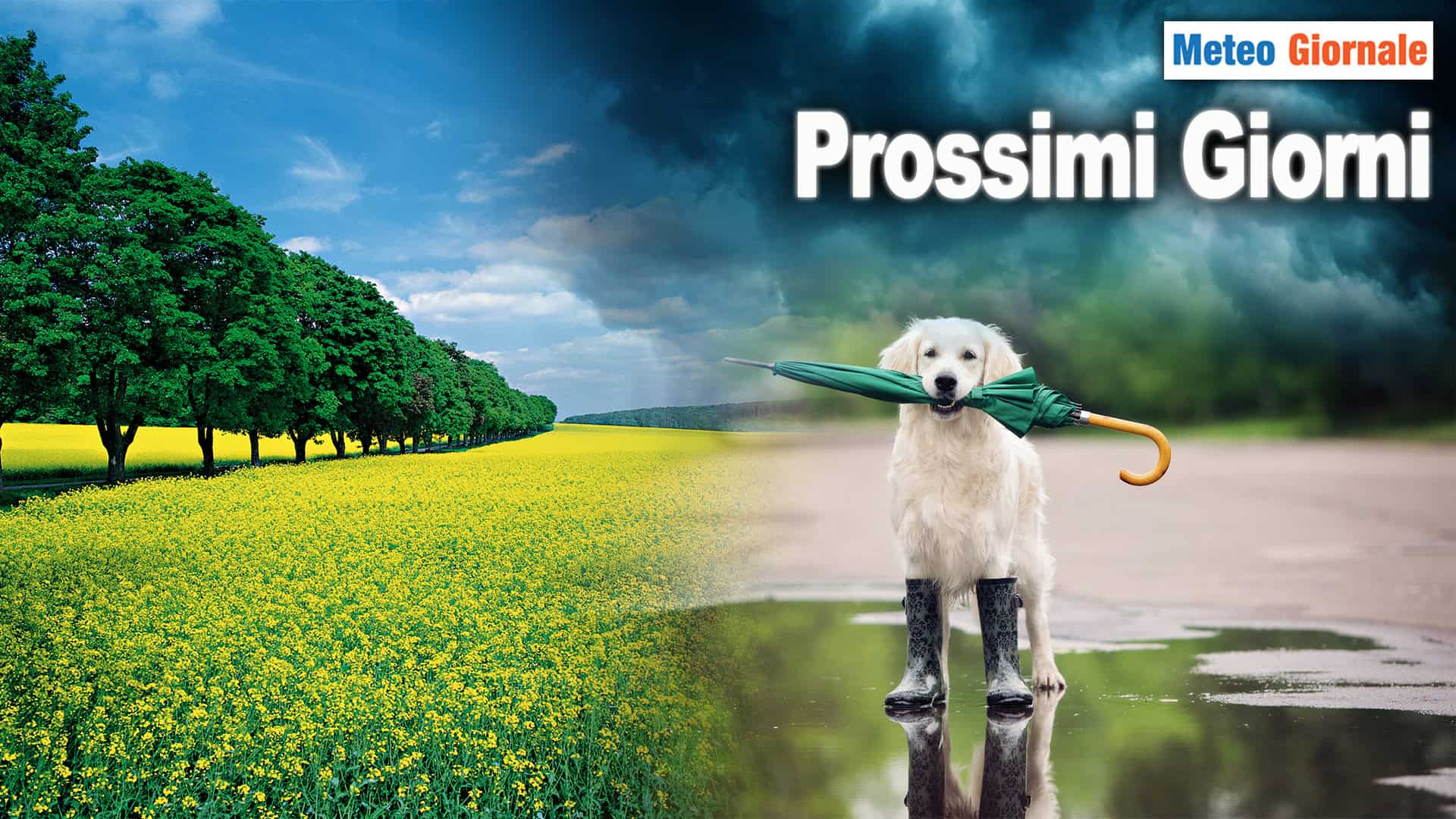 Meteo : Prossimi Giorni, Pressione in Aumento, ma ancora possibili Piogge e Temporali