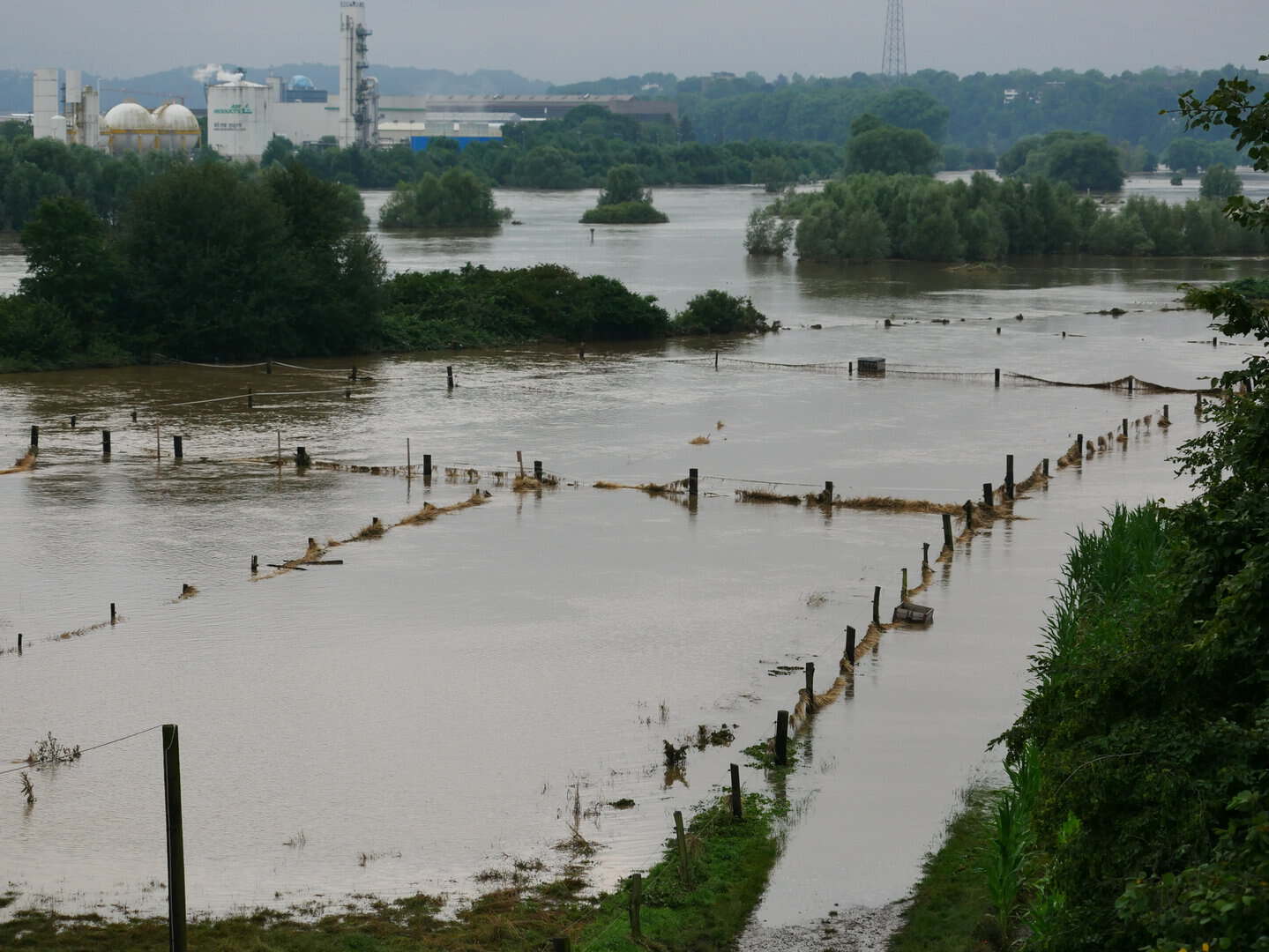 alluvione germania 2024