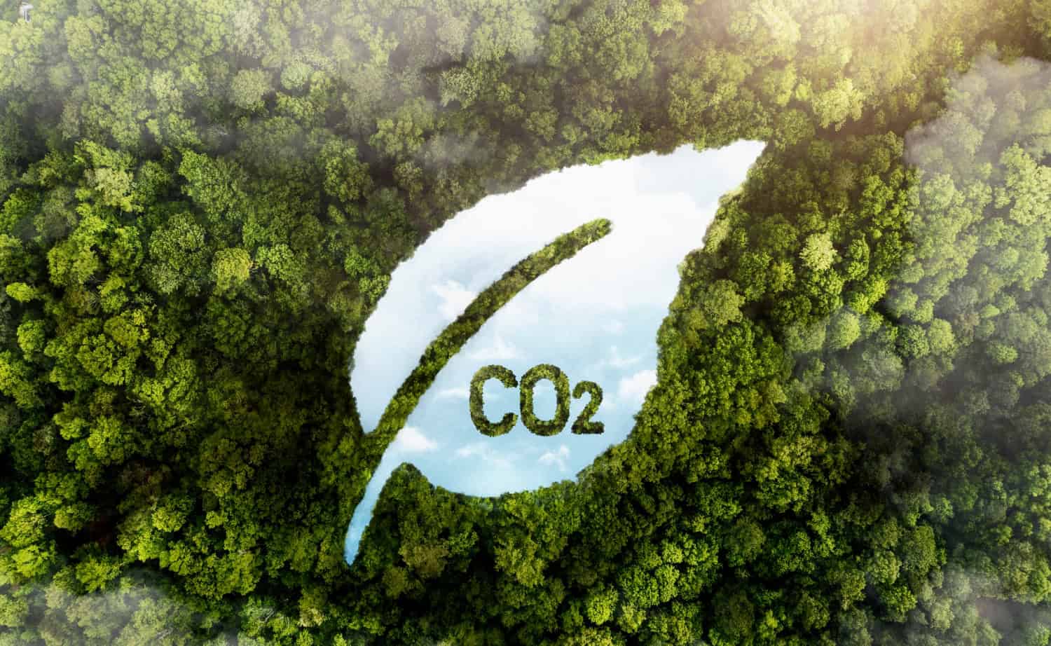 Ulteriori emissioni di CO2 di non riscalderanno il pianeta: la teoria controcorrente di un team di ricerca polacco