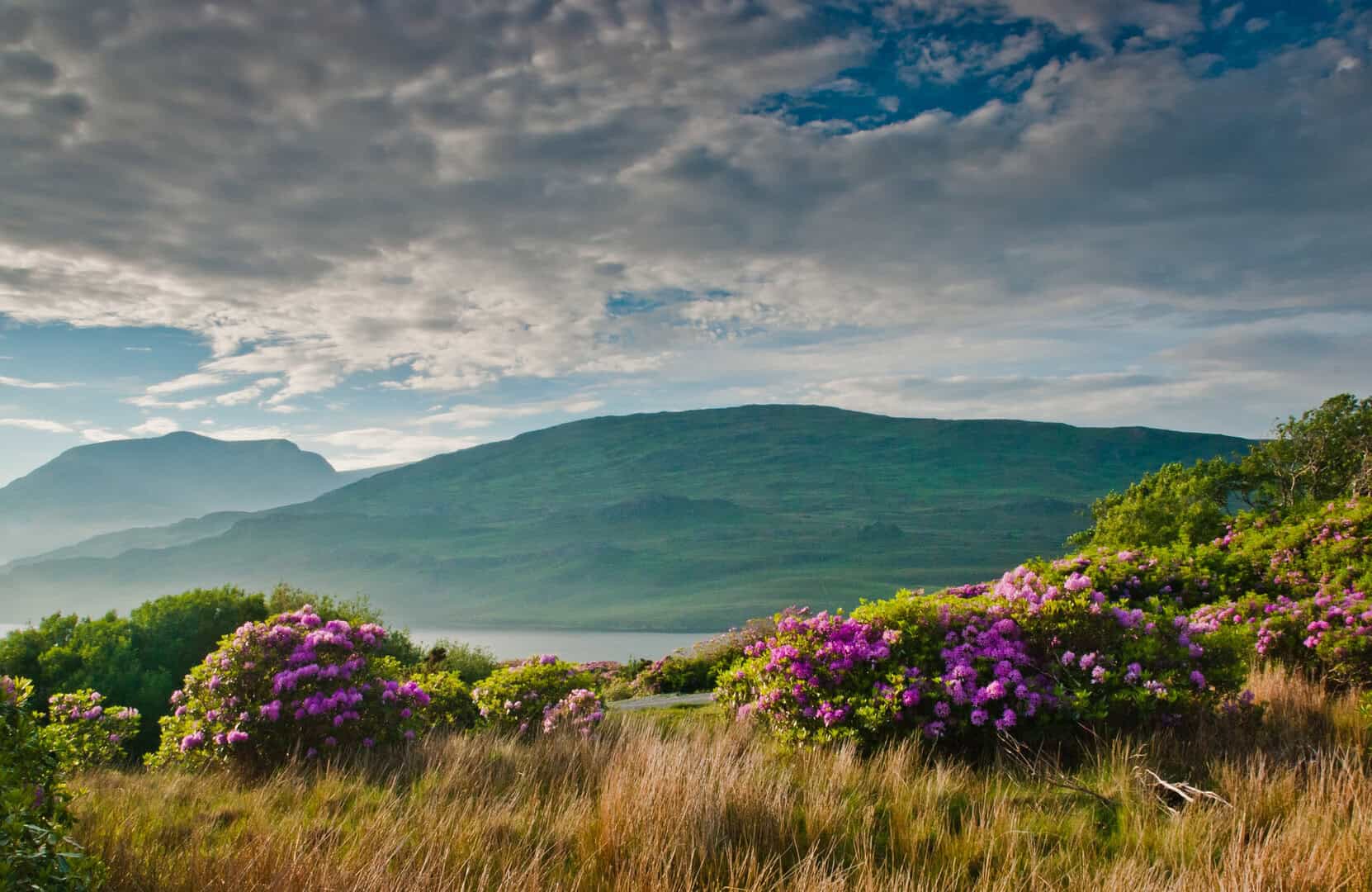 connemara
