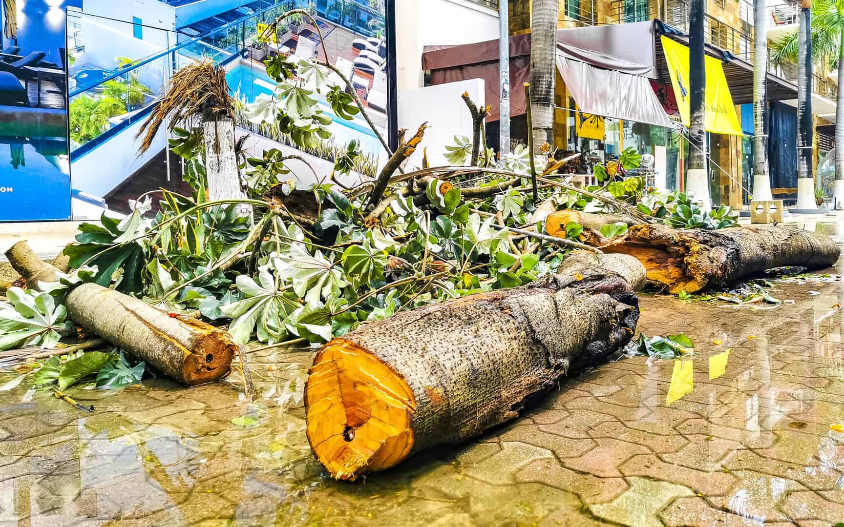 Impatti e costi degli eventi climatici estremi in America Latina e Caraibi secondo il rapporto ONU