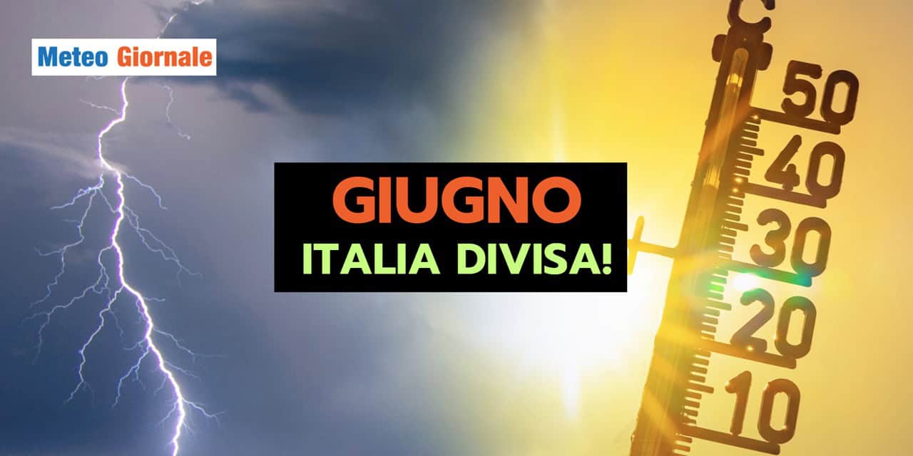 divisa 2305