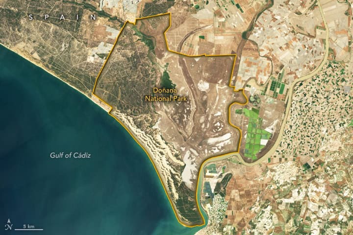 donananationalparkoli 20230415