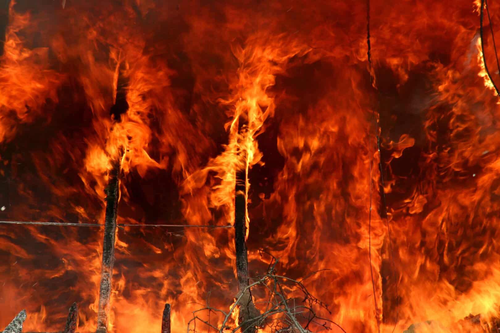 incendi canada 2024