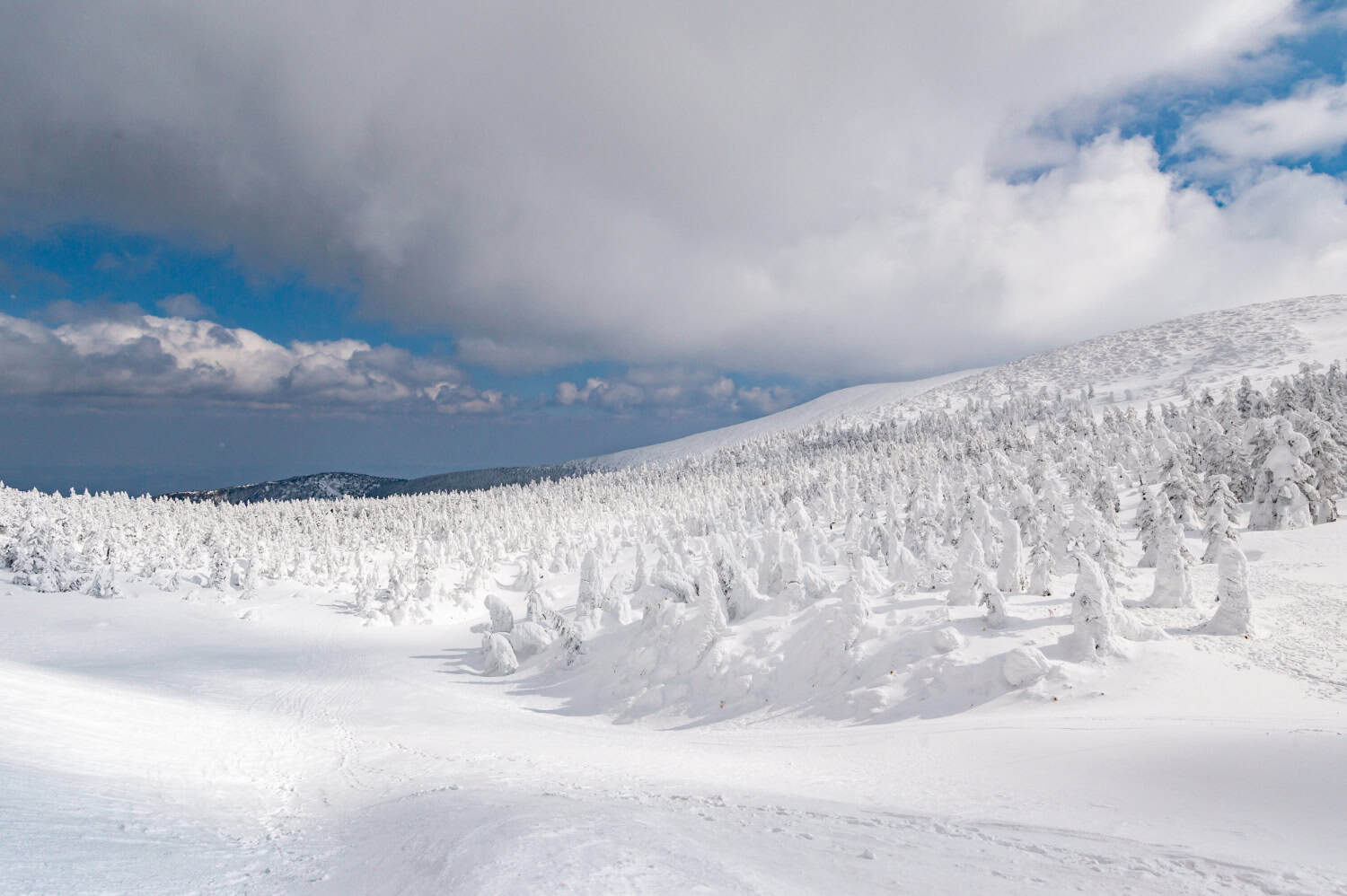 La luce segreta della neve: cosa la fa davvero brillare?
