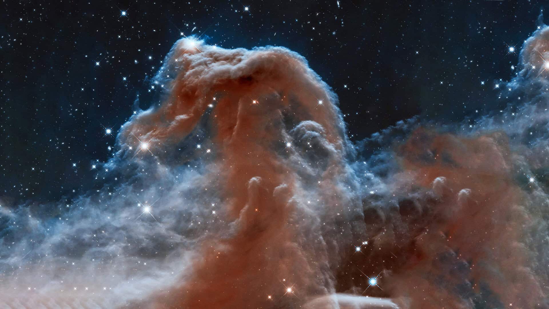 nebulosa testa di cavallo