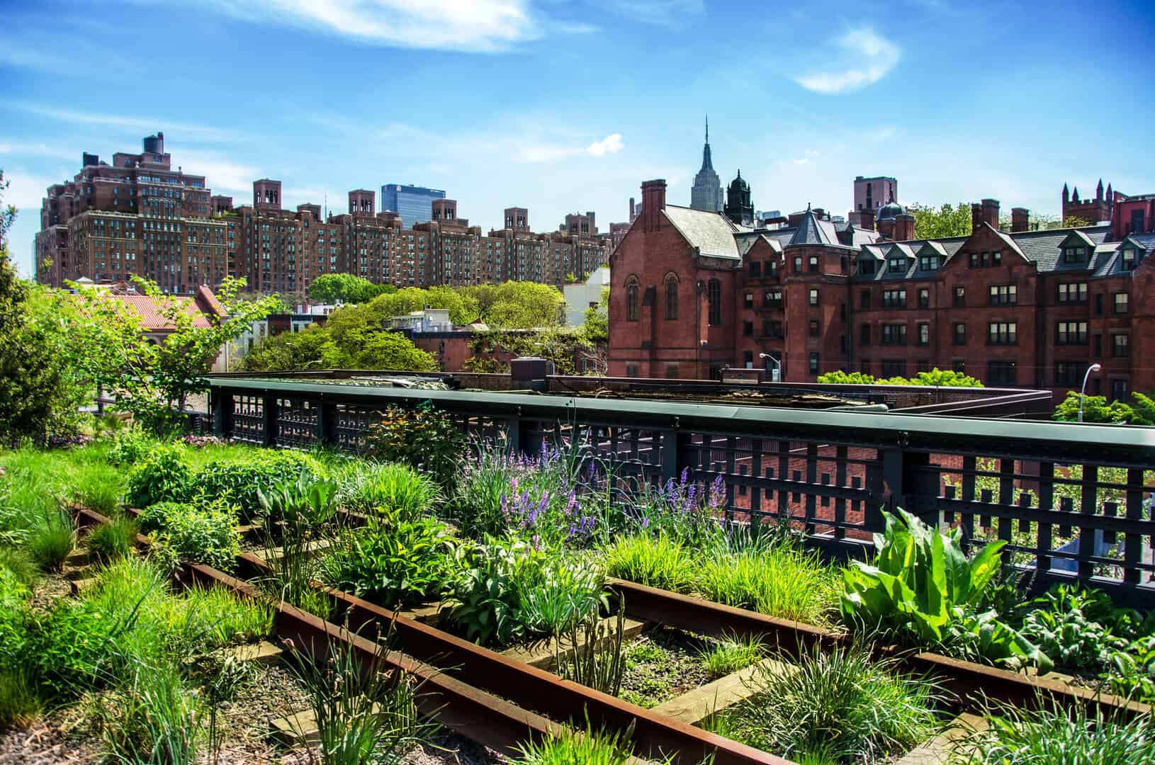 Dove alloggiare a New York: scopri i quartieri più accoglienti e gli alberghi di qualità