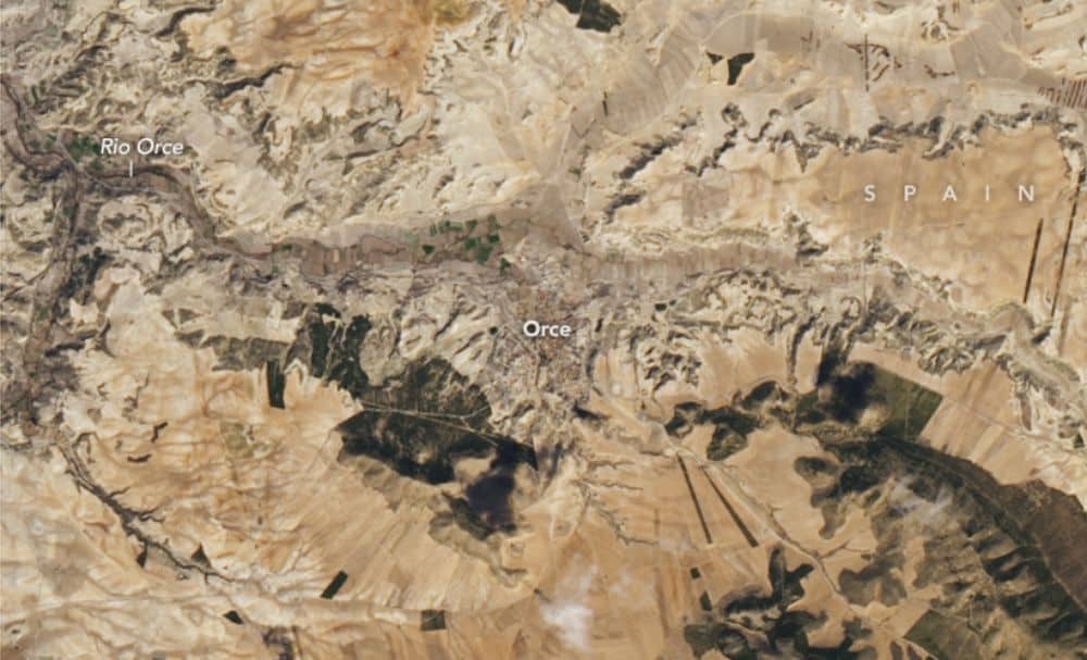 Meraviglie archeologiche: alla scoperta dei segreti antichi di Orce tramite i fossili