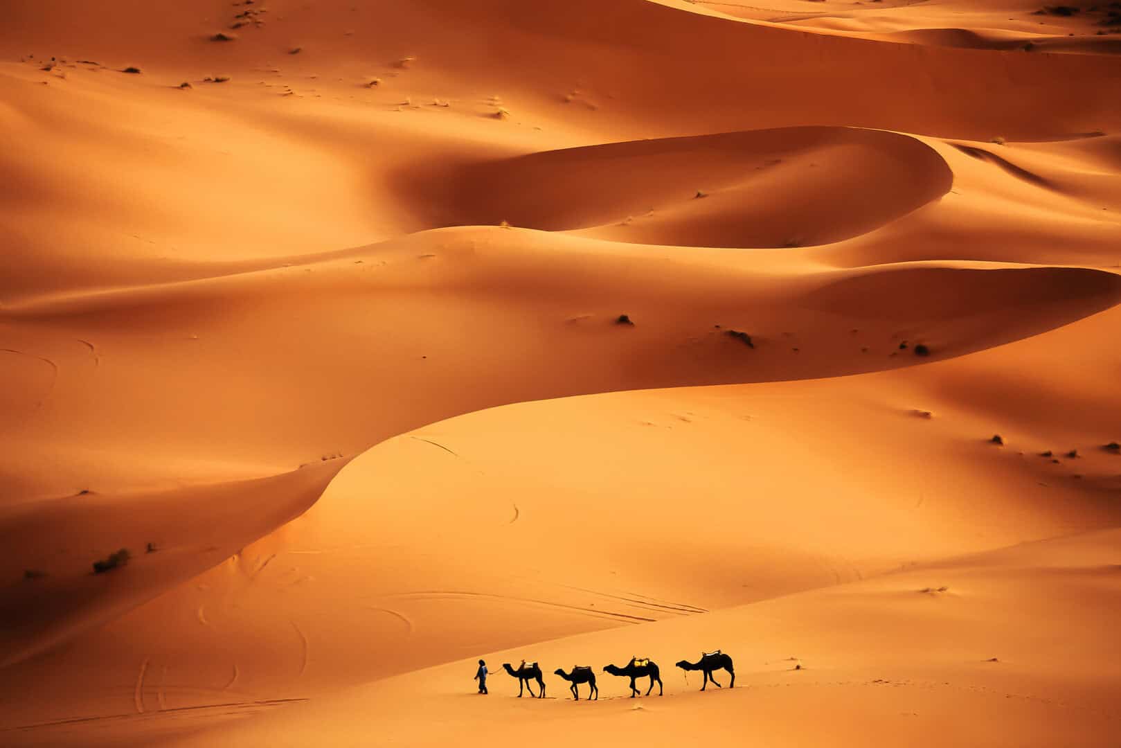 L’origine delle catastrofi: il Sahara e il suo formarsi attraverso i secoli