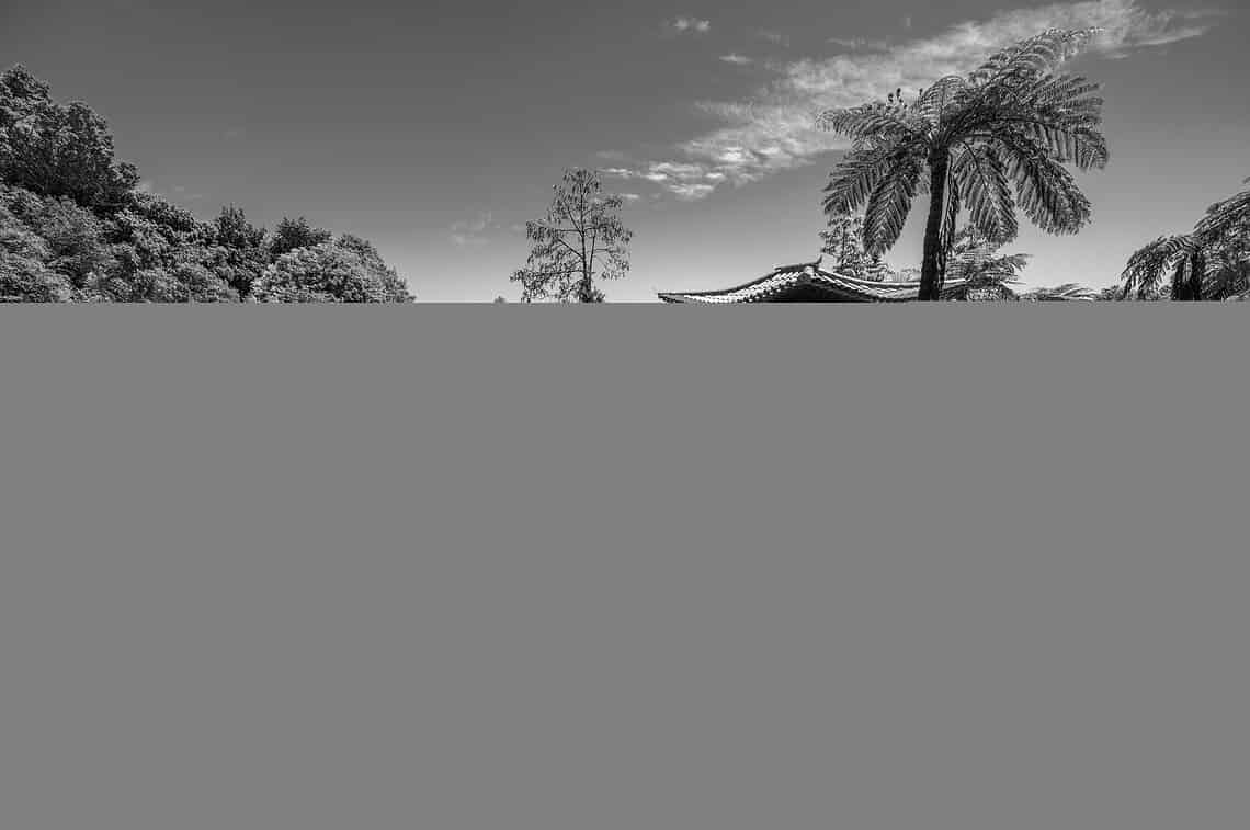 shutterstock 1934496146