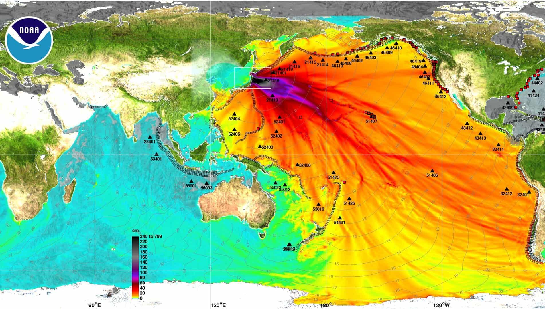 Il terremoto e lo tsunami del Tōhoku del 2011: la causa della catastrofe nucleare di Fukushima
