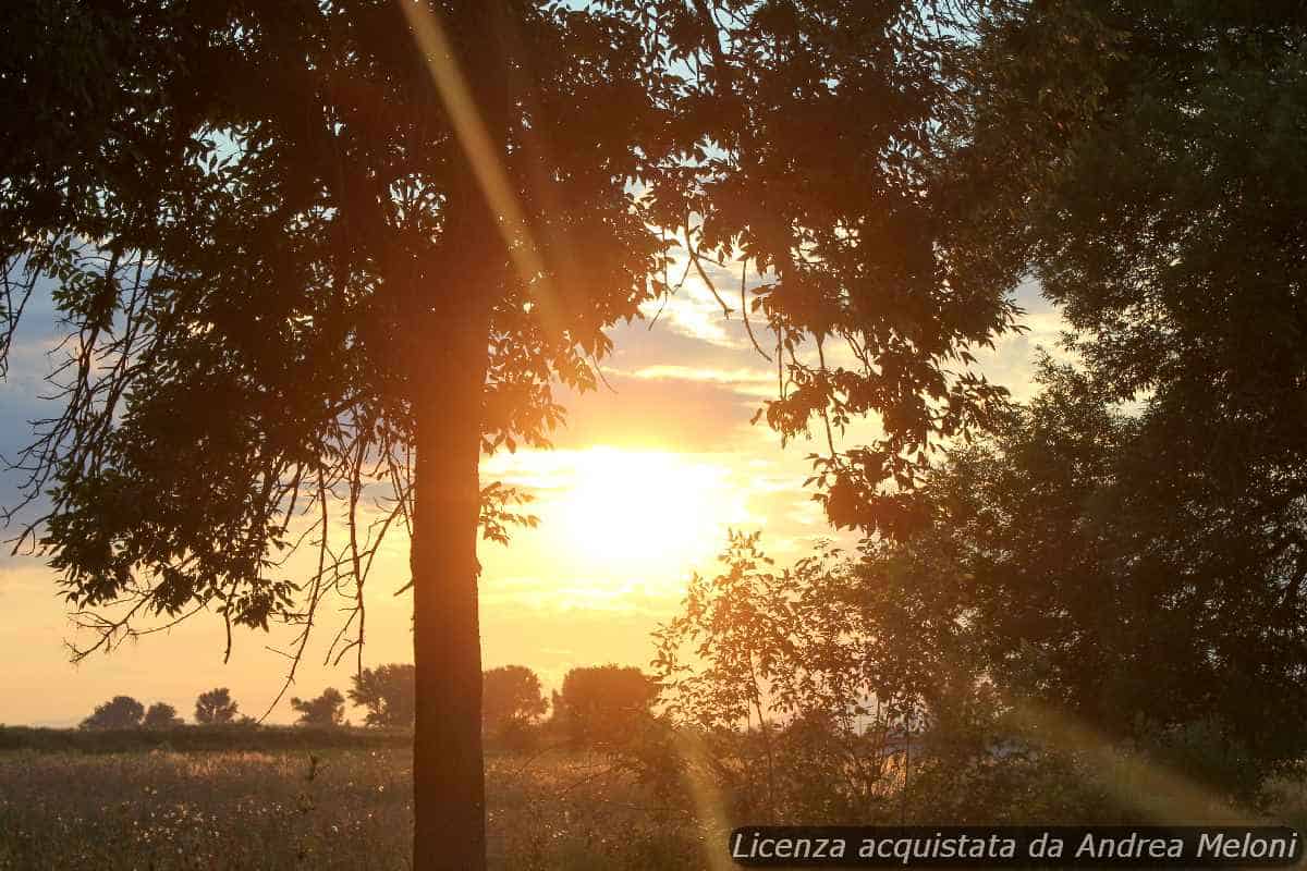Meteo L’Aquila oggi quasi sereno, poi nuvoloso con rovesci