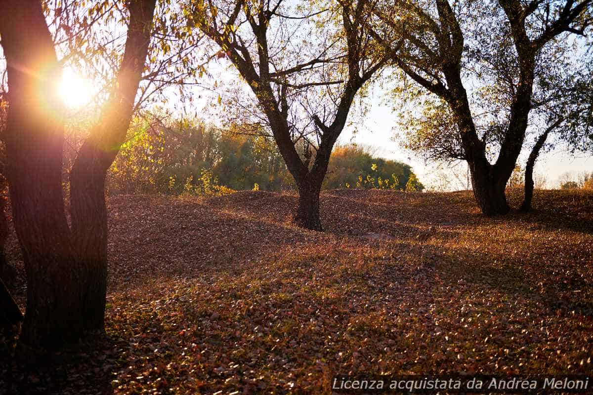 Meteo L’Aquila: domani poco nuvoloso, poi quasi sereno, ventoso a tratti