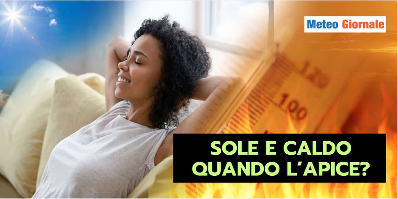 apice 0606