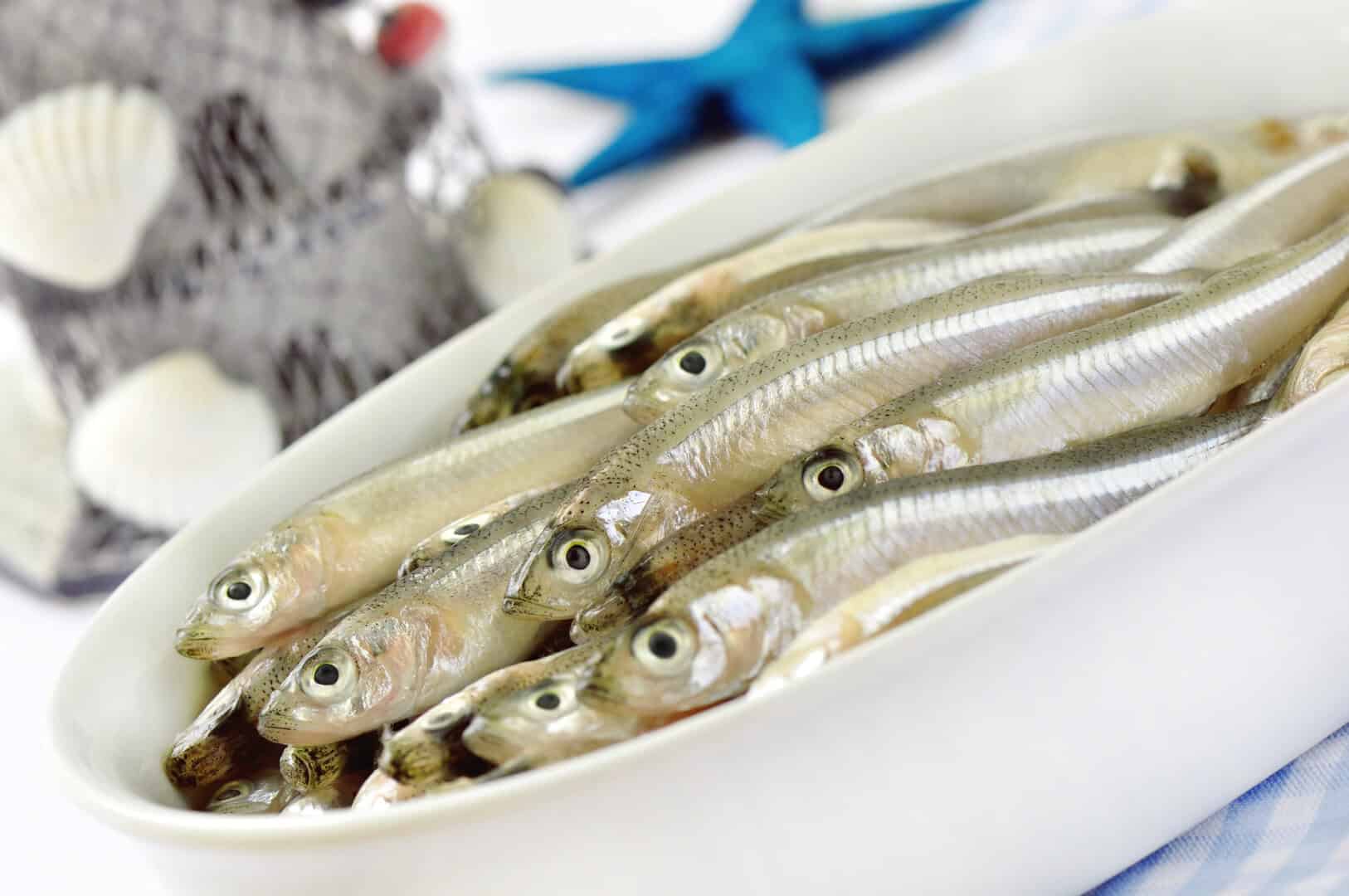 Il segreto per una vita più lunga? Scienziati scoprono benefici insospettati nei piccoli pesci