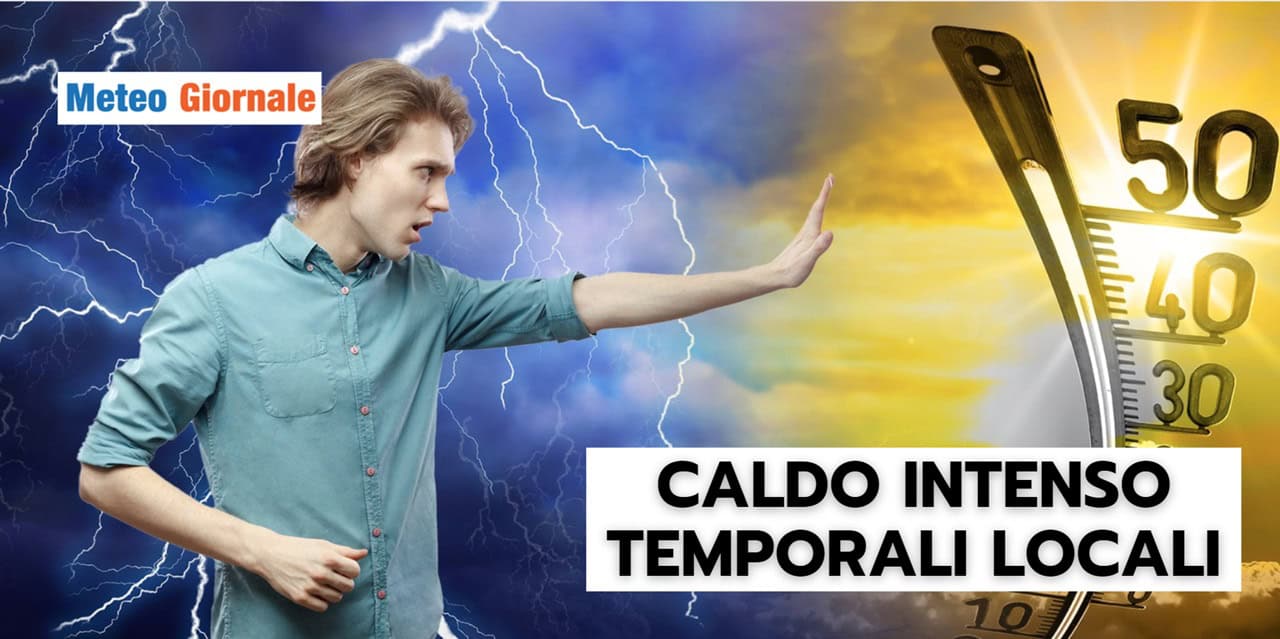 cald 1206
