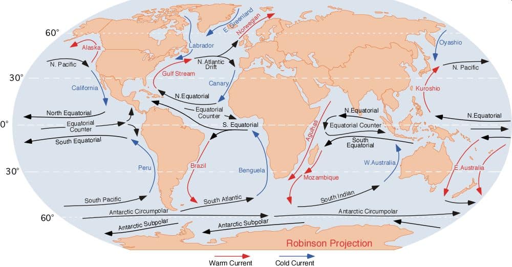 Influenza delle correnti marine sulla distribuzione termica globale. Effetti climatici e ambientali