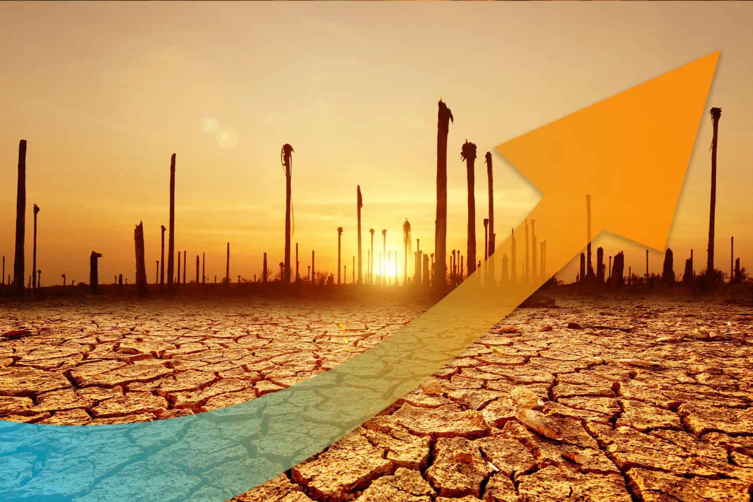 Crisi climatica non si arresta: ogni mese dell’ultimo anno è stato il più caldo mai registrato