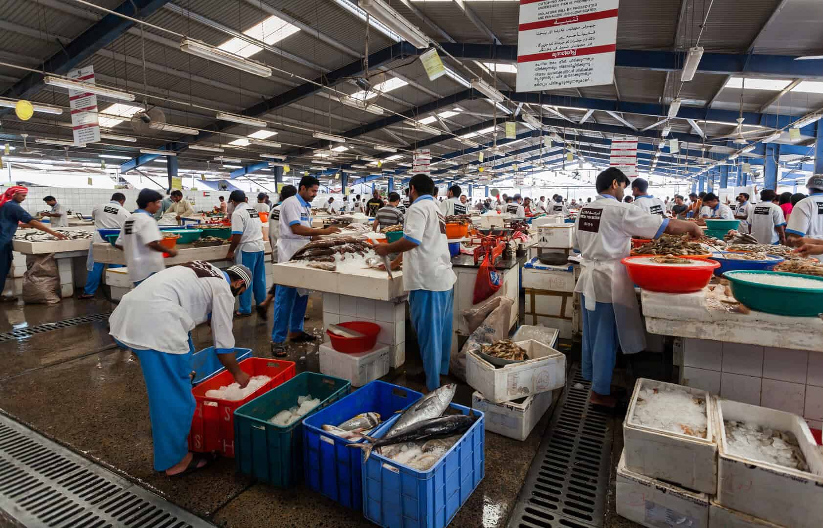 deira mercato del pesce