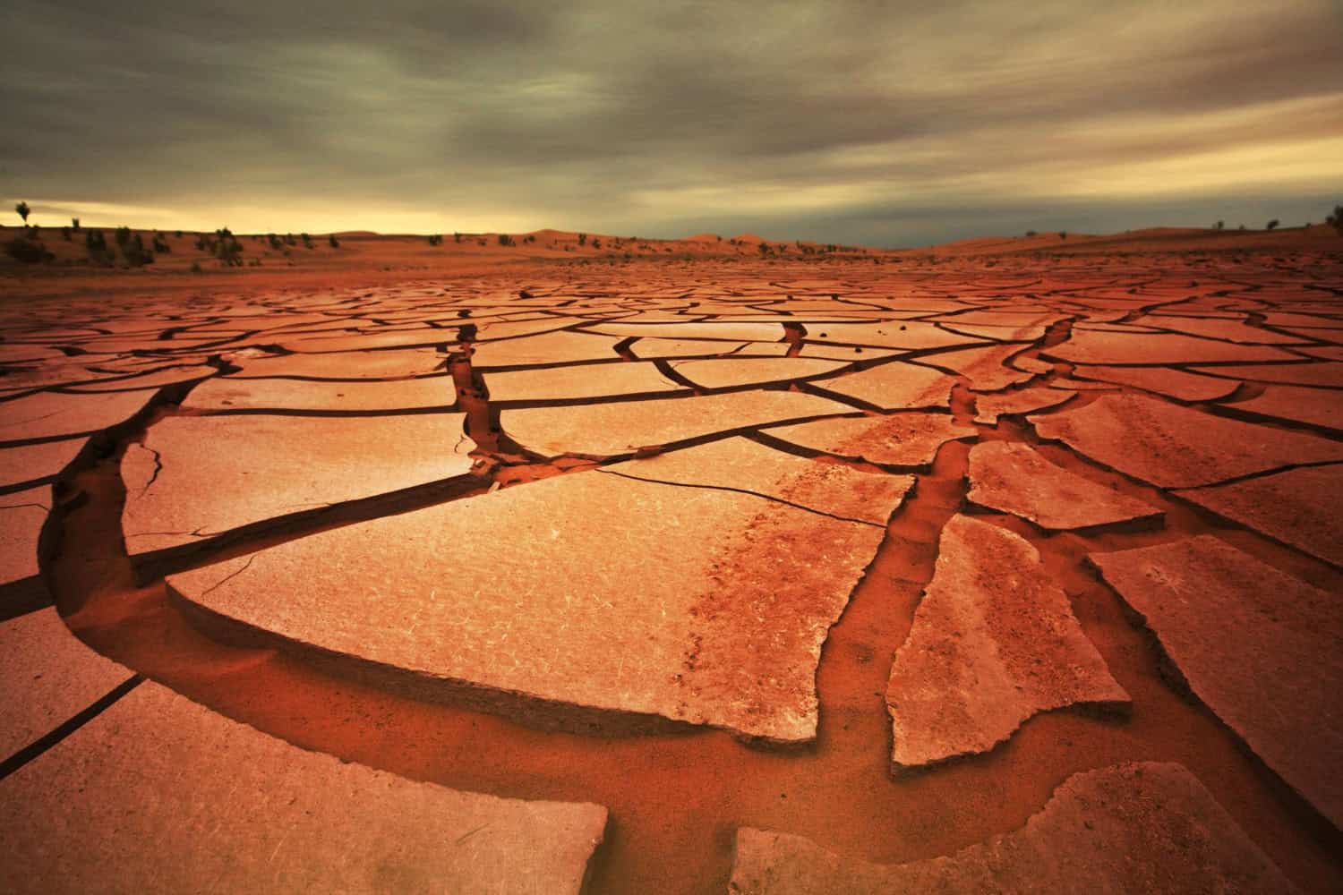 Una crisi imminente: il 66% della popolazione mondiale affronterà la scarsità d’acqua entro il 2100