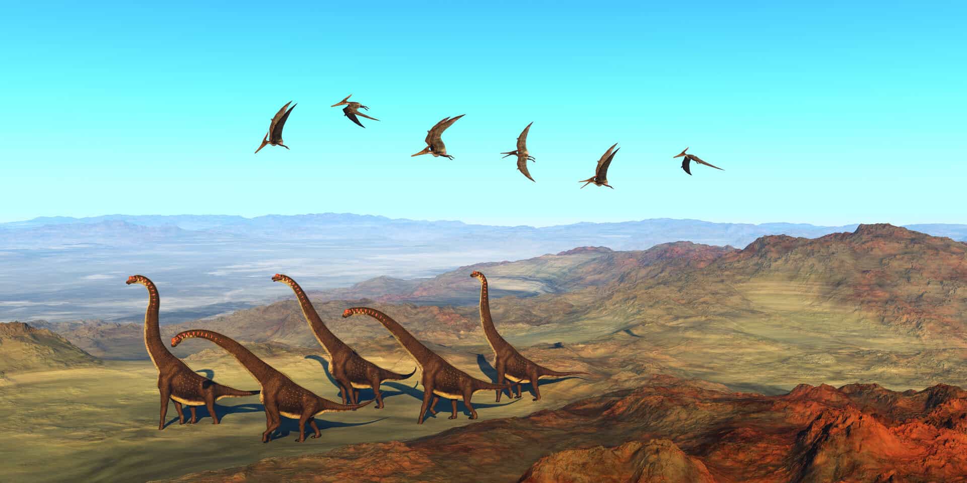 dinosauro sauromorfo zimbabwe
