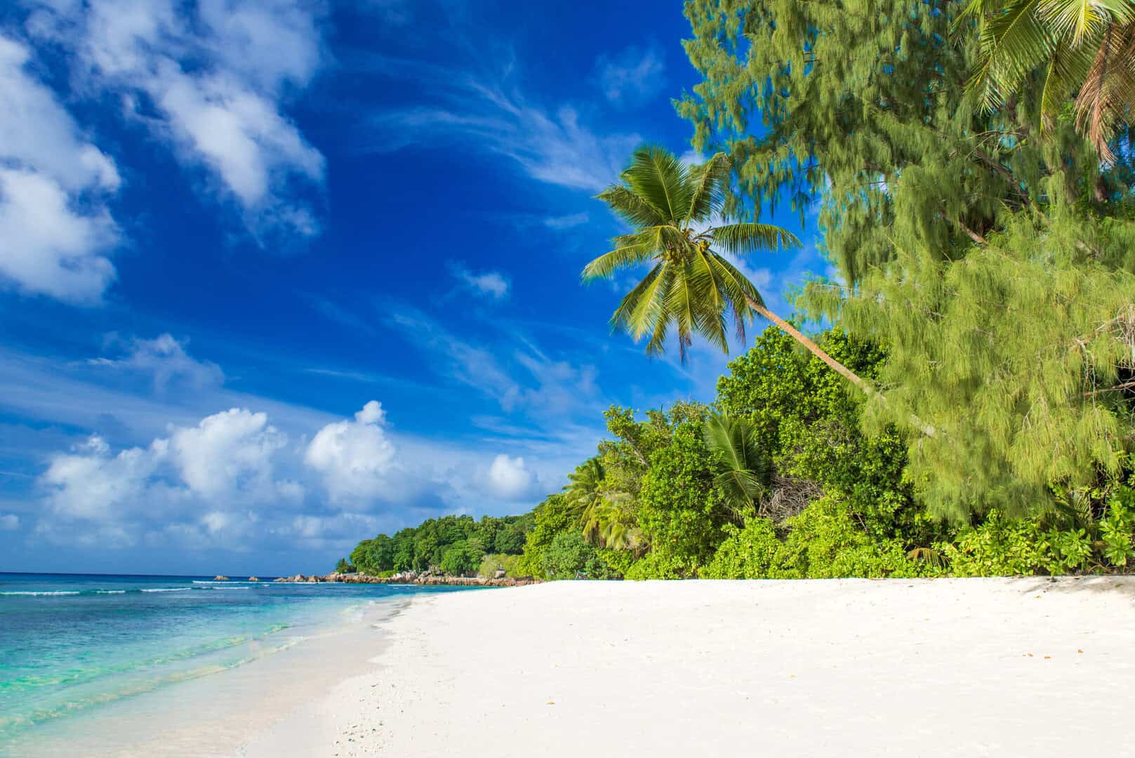 dreamstime m 144050679